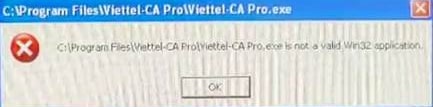 Viettel-CA Pro.exe is not a valid win32 application